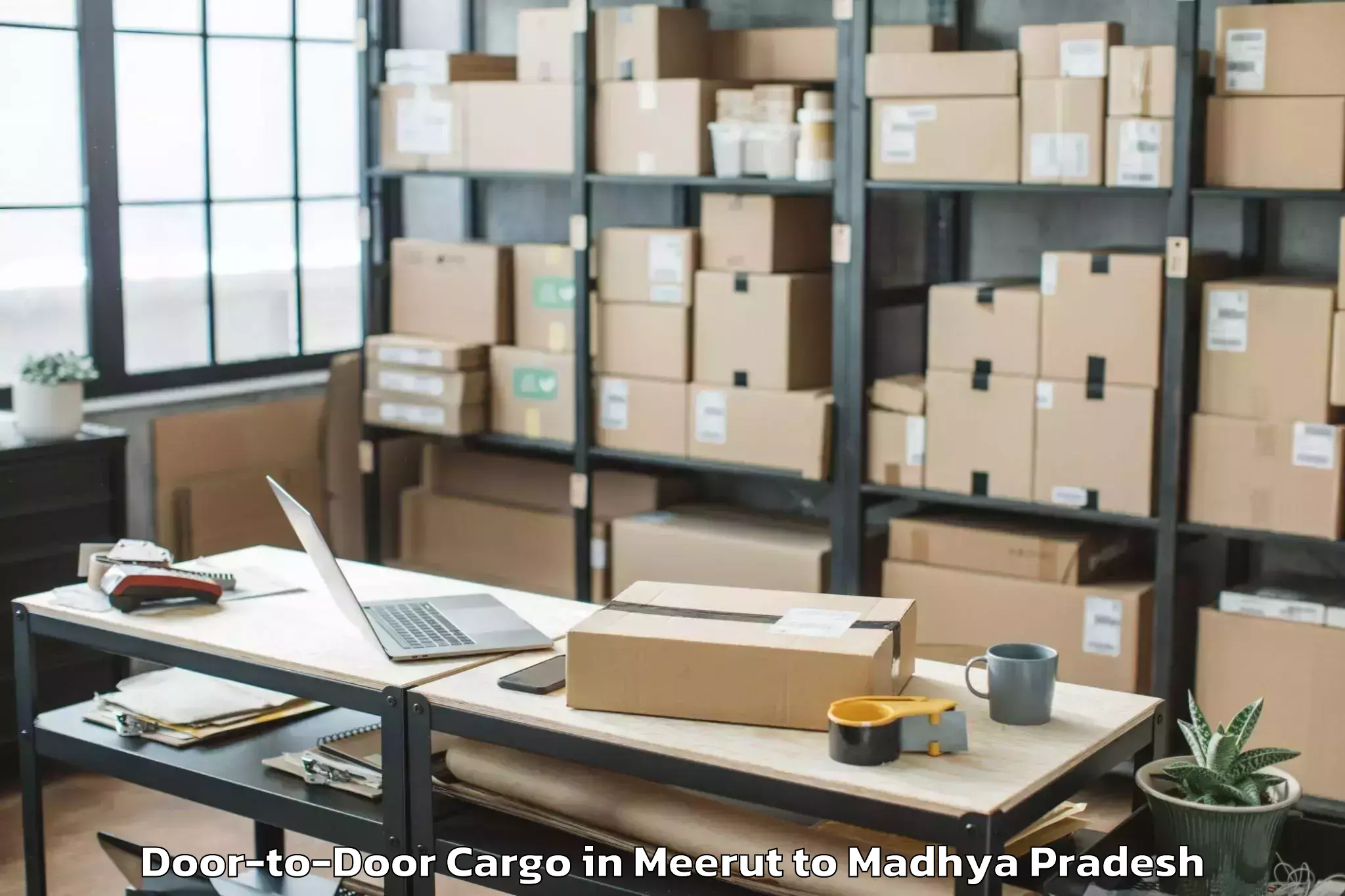 Book Meerut to Abhilashi University Satna Door To Door Cargo Online